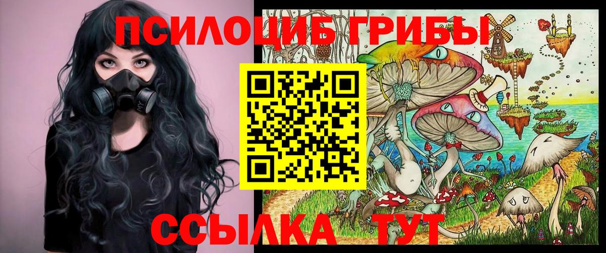 Псилоцибиновые грибы Psilocybe Богородицк
