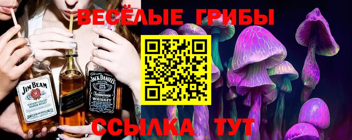 Псилоцибиновые грибы мухоморы  Галлюциногенные грибы мухоморы  Богородицк  Вход с VPN 